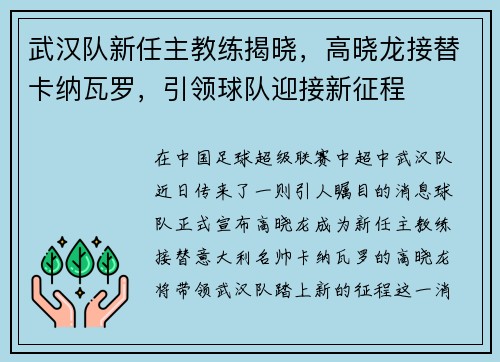 武汉队新任主教练揭晓，高晓龙接替卡纳瓦罗，引领球队迎接新征程